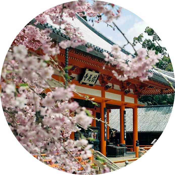 AIG Travel Insurance to Japan
